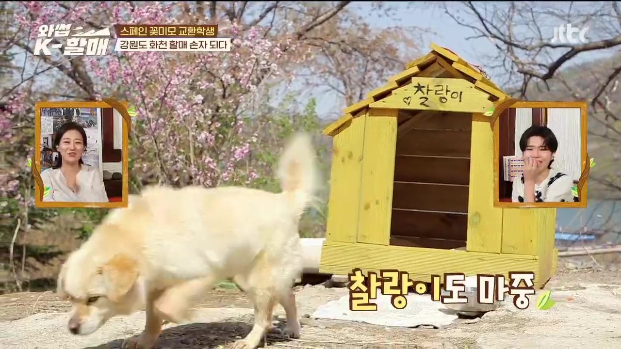 [와썹k할매]-외국인에게-제대로-플렉스하며-챙겨주는-k-할매-2-이미지