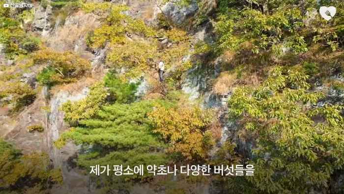 며칠-째-냇가에-방치된-가방,-수상한-느낌에-열어-보니..-0-이미지