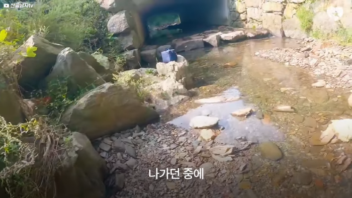 며칠-째-냇가에-방치된-가방,-수상한-느낌에-열어-보니..-4-이미지