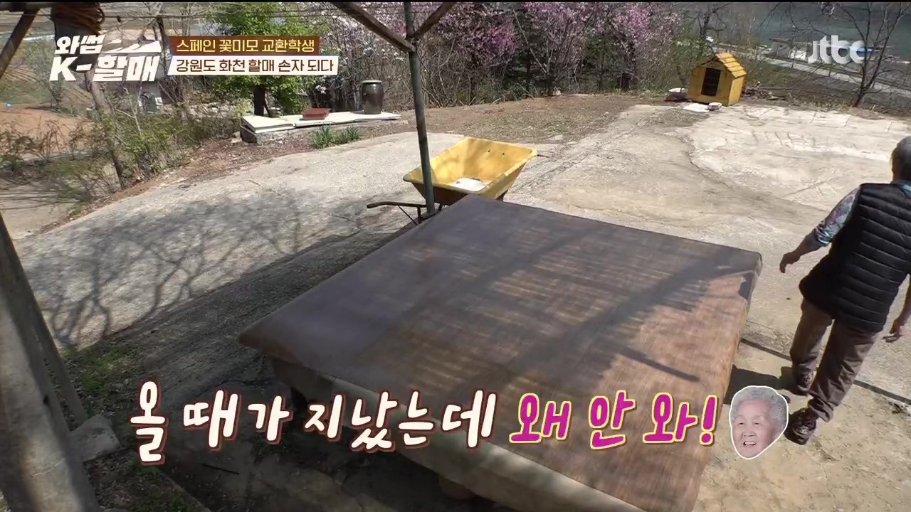 [와썹k할매]-외국인에게-제대로-플렉스하며-챙겨주는-k-할매-3-이미지