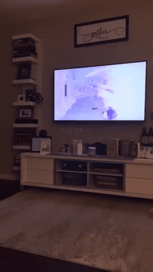 다스-베이더를-본-골댕이-0-이미지