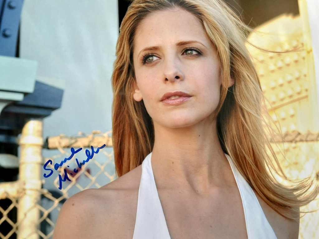 사라-미셀-겔러-5-이미지