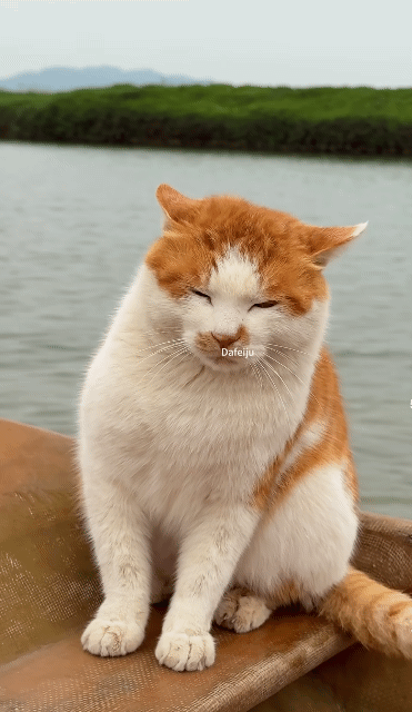 A.I가-아닌데-상황이-A.I-같은-3-이미지