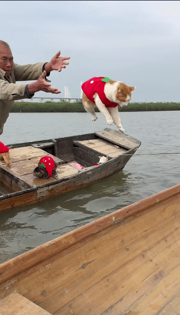 A.I가-아닌데-상황이-A.I-같은-1-이미지