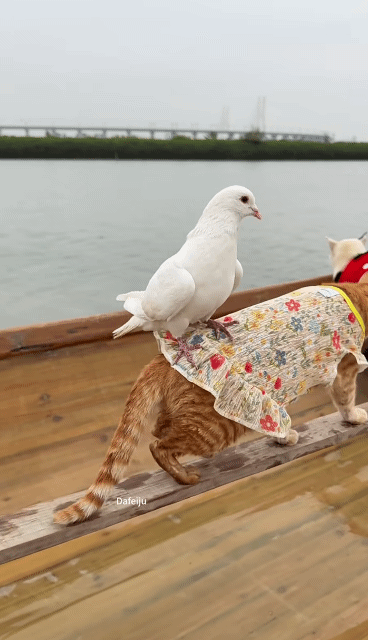 A.I가-아닌데-상황이-A.I-같은-2-이미지