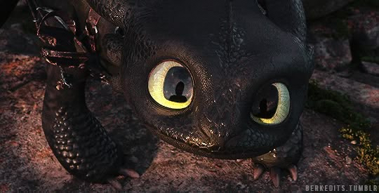 투슬리스를-닮은-새-1-이미지