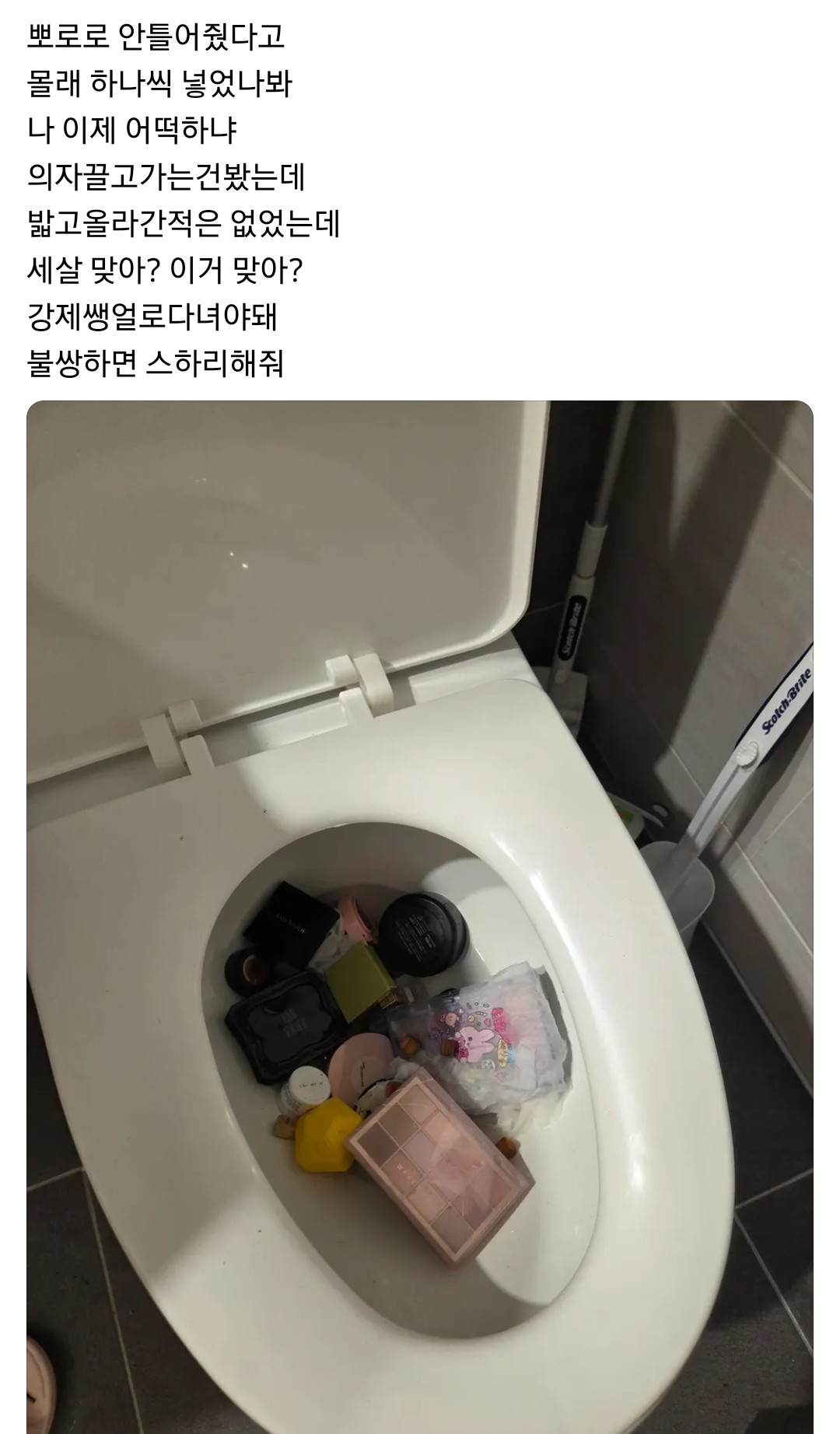 애가-뽀로로-안틀어준다고-애가-화장품-다-변기에-넣었어...-도구써서-똑똑하다고-칭찬했어-0-이미지