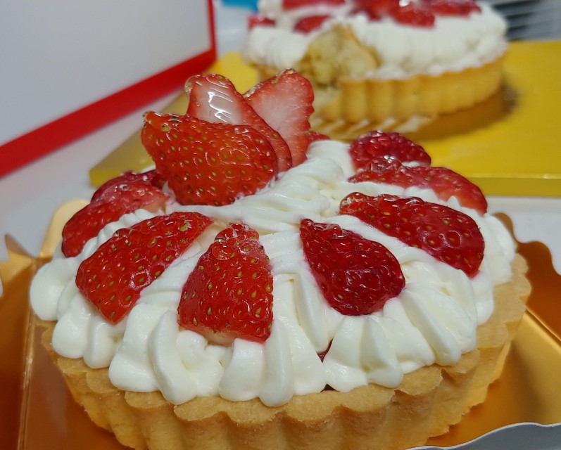 혼자-돌아다니는거-거부감없고-삶에-무료함-느낀다면-내글봐줘-7-이미지