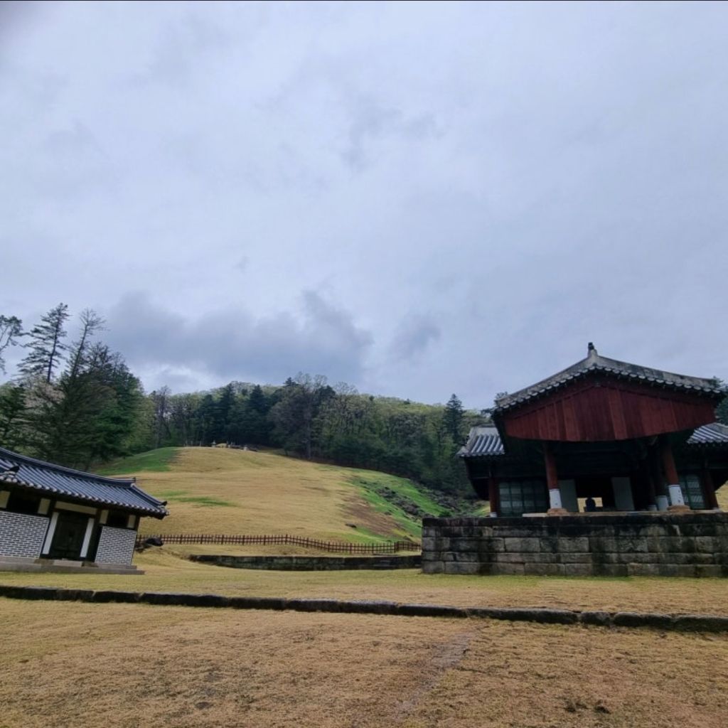 욕설테러-일으키는-중인-신작영화-ㄷㄷ-1-이미지