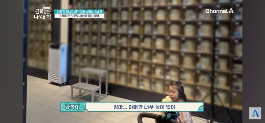 역대-가장-가슴아픈-금쪽이-사연-5-이미지