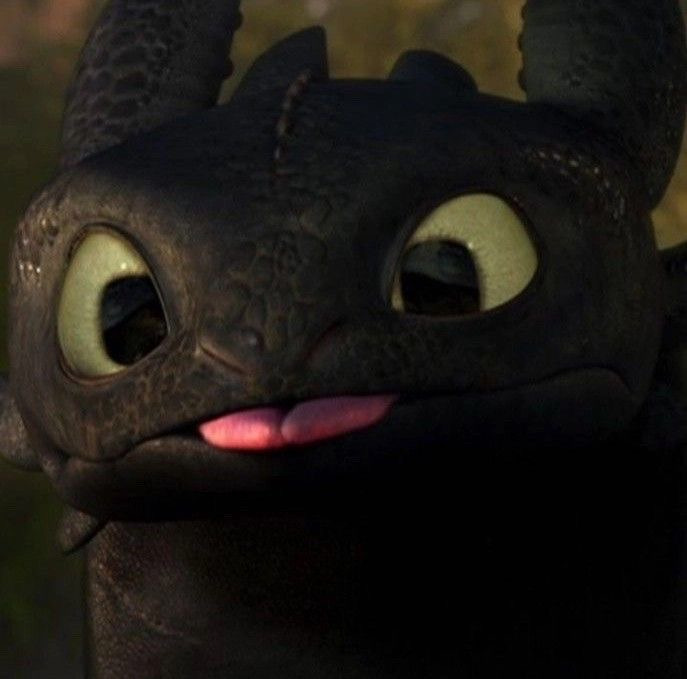 투슬리스를-닮은-새-3-이미지