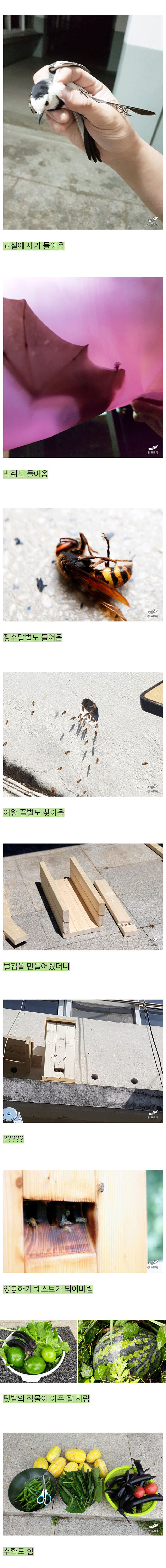 교육청-찾아가서-오래된-폐교를-빌린-어느-블로거-4-이미지