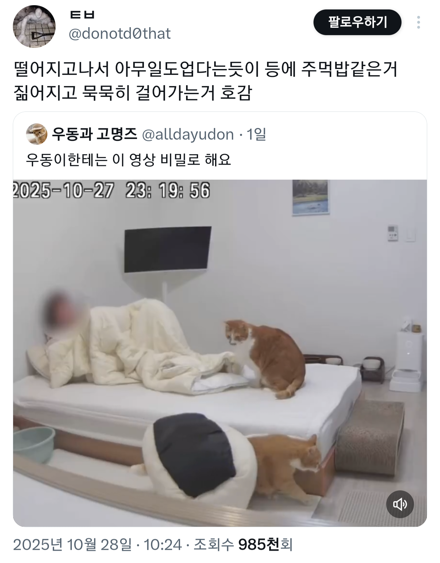 등에-주먹밥같은거-짊어지고-묵묵히-걸어가는거-호감.twt-0-이미지