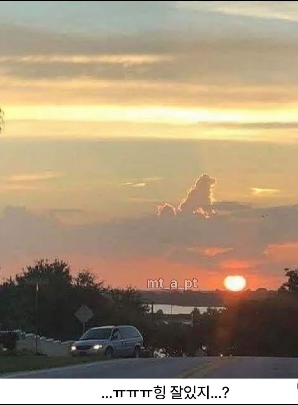 엄마!!언니!!누나!!-나는-여기서-잘-지내고-있어요-1-이미지