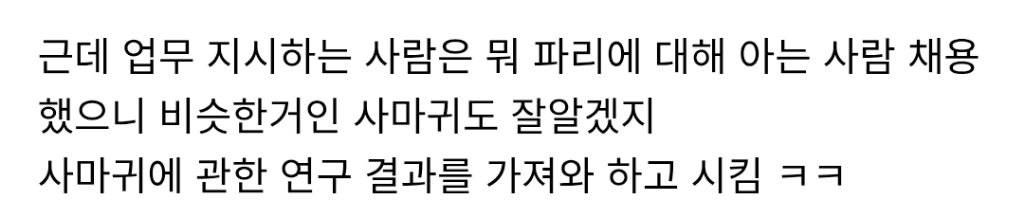 최강록에게-위로받은-석박사-2-이미지