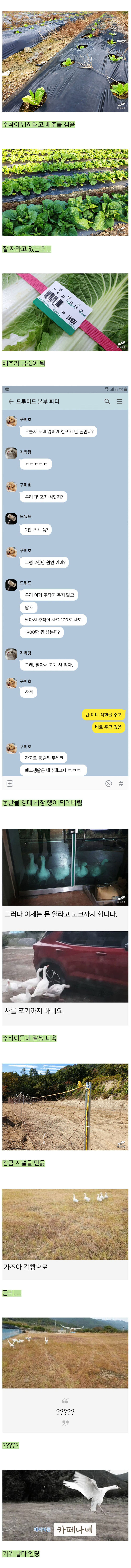 교육청-찾아가서-오래된-폐교를-빌린-어느-블로거-7-이미지
