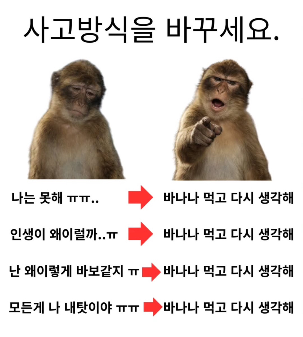 바나나-먹고-다시-생각해-0-이미지