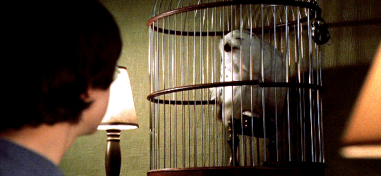 해리포터-시리즈별-오프닝&엔딩-장면-모음.gif-6-이미지