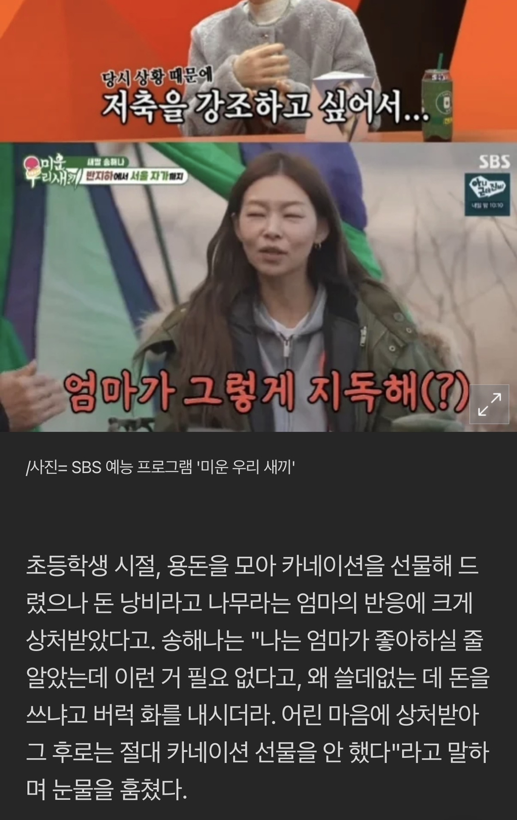 송해나,-돈-집착-母에-"지독하다"-진저리…"母-막말에-아직도-눈물-나"[스타이슈]-1-이미지