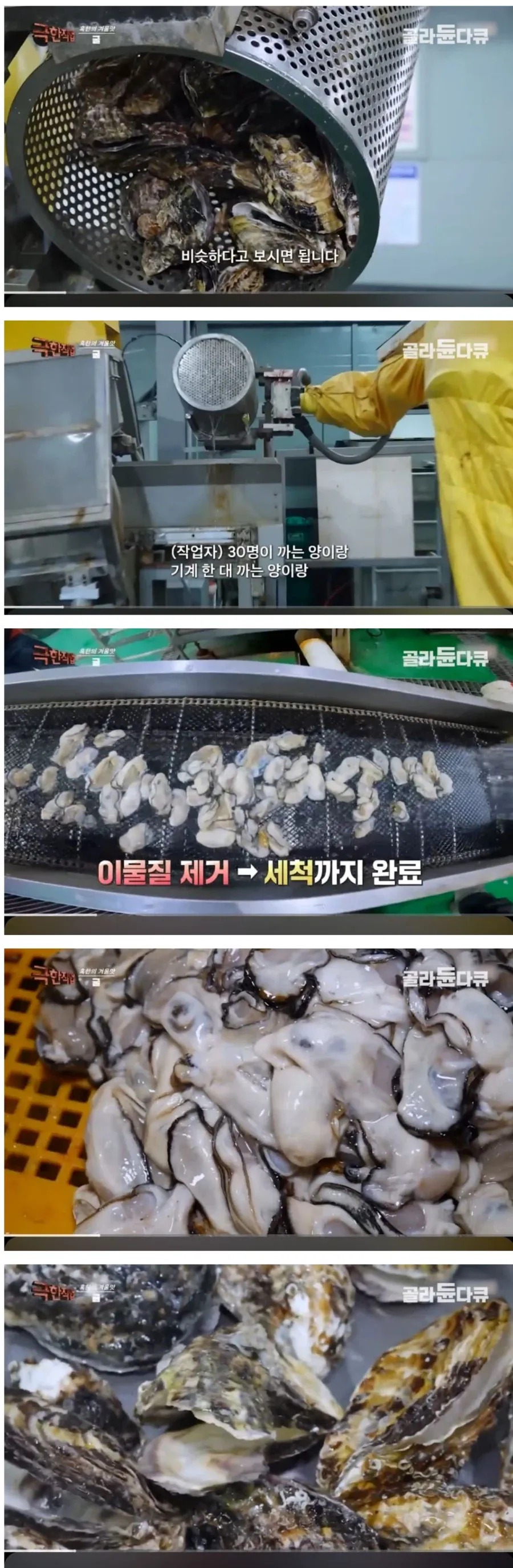 굴-공장-근황.jpg-1-이미지