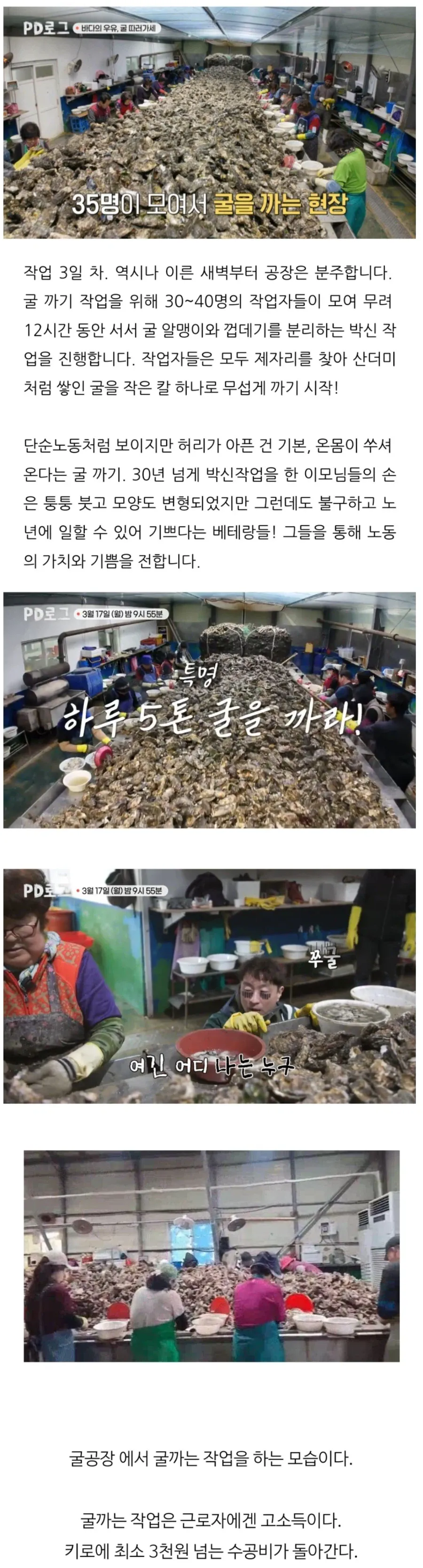 굴-공장-근황.jpg-0-이미지