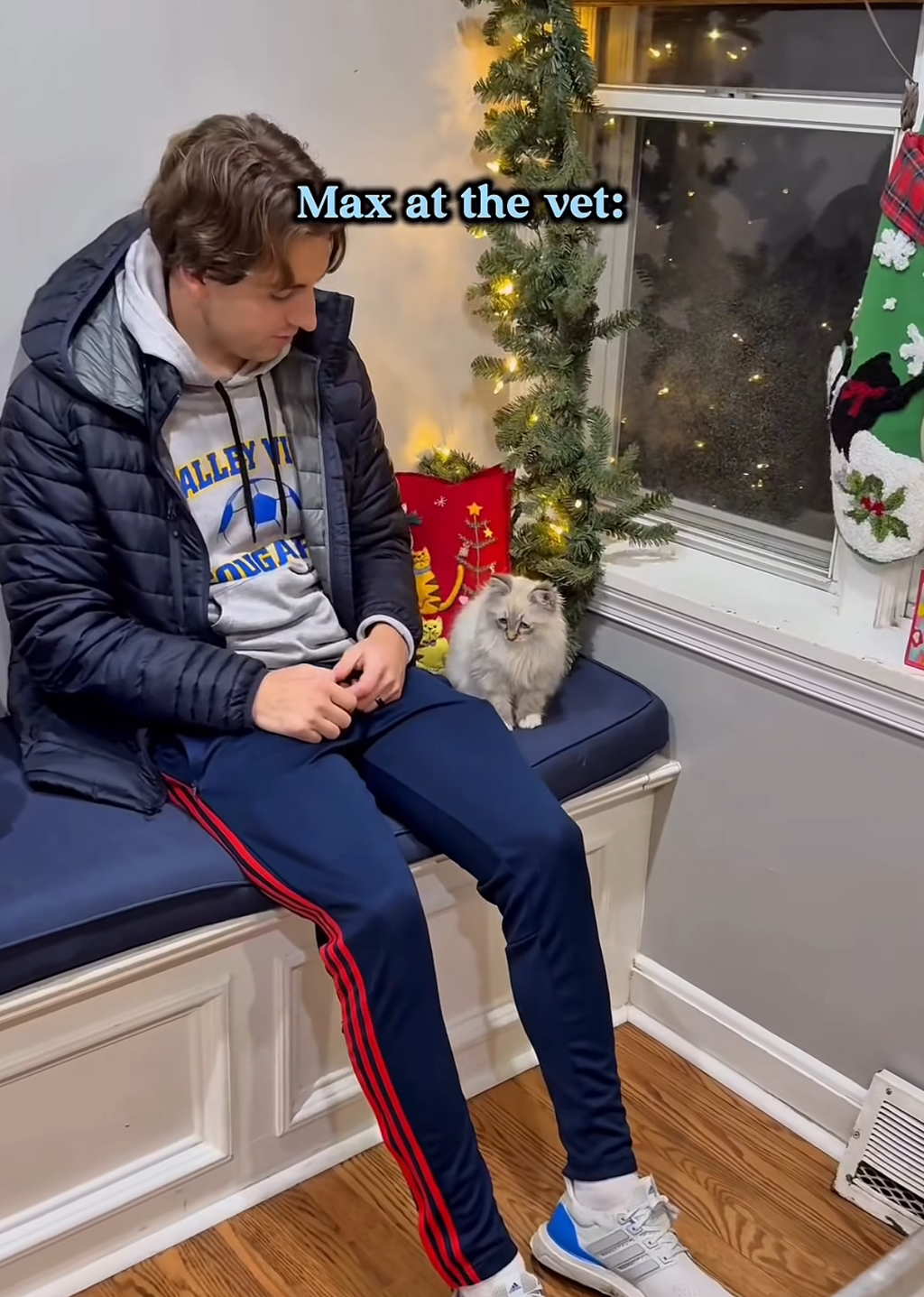 고양이는-얼굴-표정이-없다던데?-1-이미지