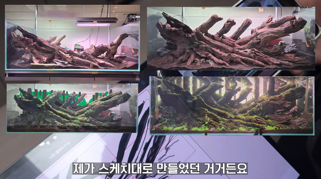 20살에-국제-어항꾸미기-대회-1위한-사람-17-이미지