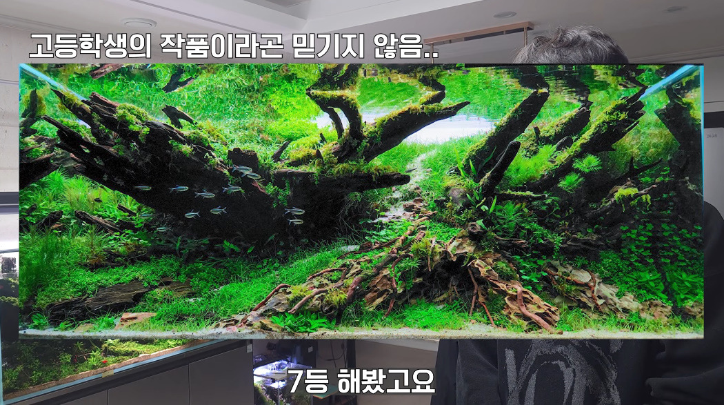 20살에-국제-어항꾸미기-대회-1위한-사람-2-이미지