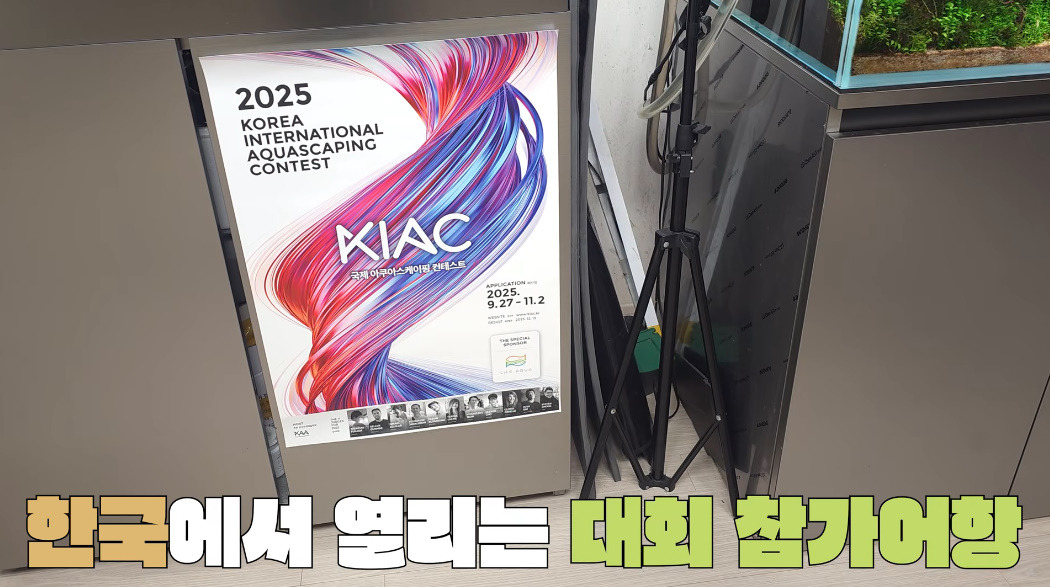 20살에-국제-어항꾸미기-대회-1위한-사람-1-이미지