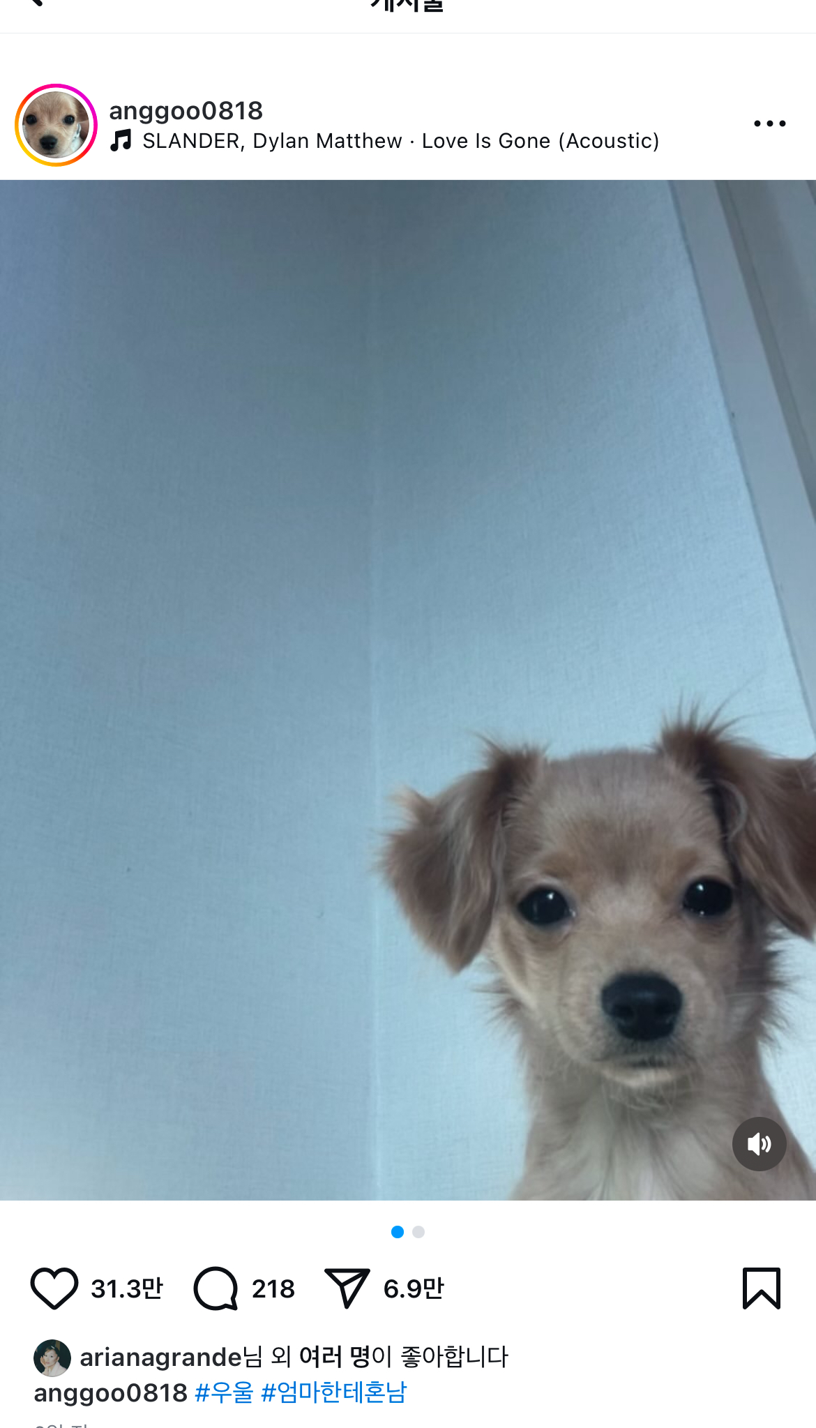 아리아나가-좋아요-누른-인스타-포스트-0-이미지