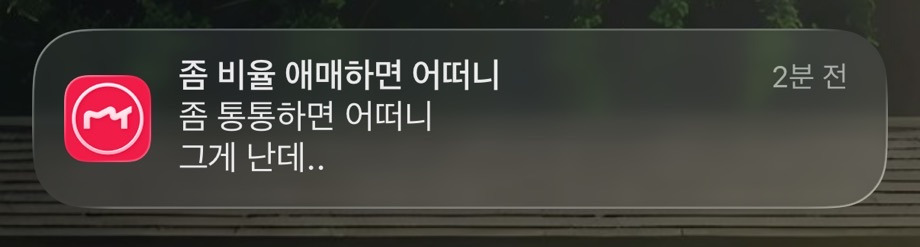 메이투-어플-알림-근황.jpg-0-이미지