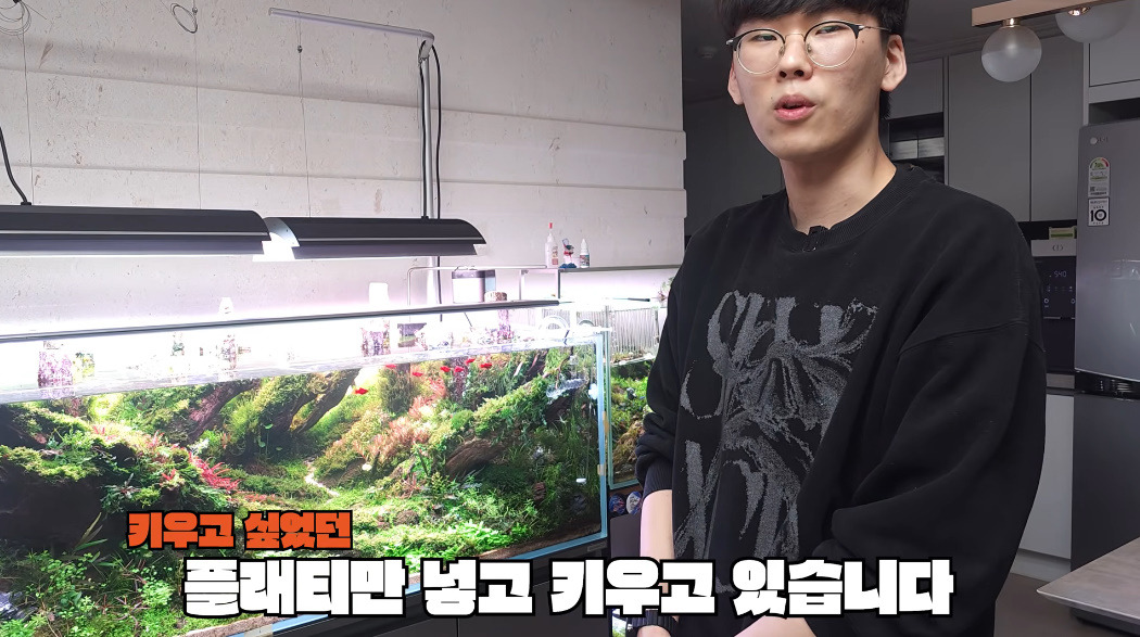 20살에-국제-어항꾸미기-대회-1위한-사람-22-이미지