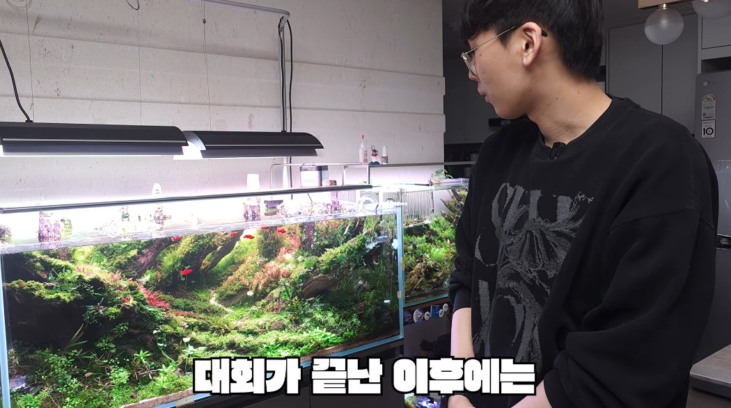 20살에-국제-어항꾸미기-대회-1위한-사람-21-이미지