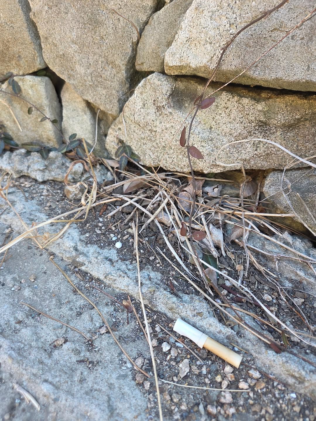 해병대-비비탄-난사사건의-법적-조력자가-되어주기로-한-변호사-6-이미지