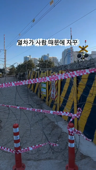 혼여하기-좋은-여행지로-추천받던-묵호-근황.gif-7-이미지