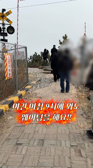 혼여하기-좋은-여행지로-추천받던-묵호-근황.gif-1-이미지