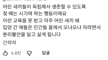 엄마-강아지가-아기-강아지한테-교육-중~-0-이미지