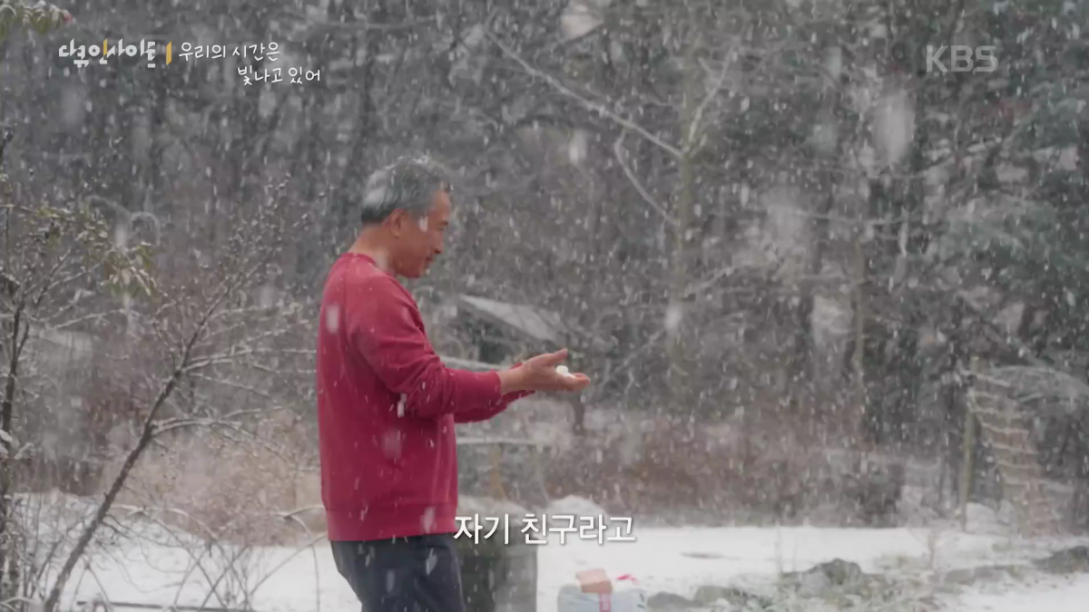 70이-다-되었는데-옆집-8살-아이가-자꾸-저희집에-찾아옵니다-23-이미지