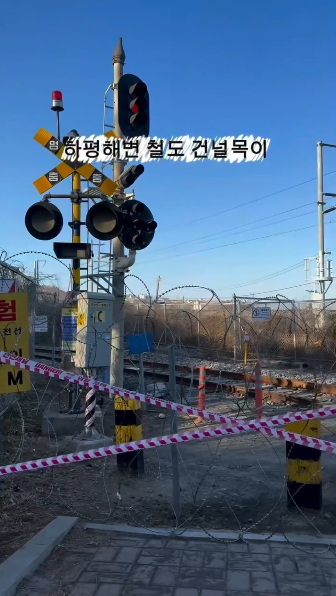 혼여하기-좋은-여행지로-추천받던-묵호-근황.gif-2-이미지