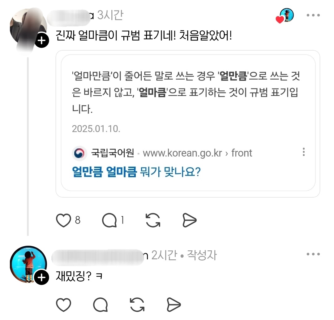초1-받아쓰기-맞춤법-지적하다가-이불킥하는-어른들-4-이미지