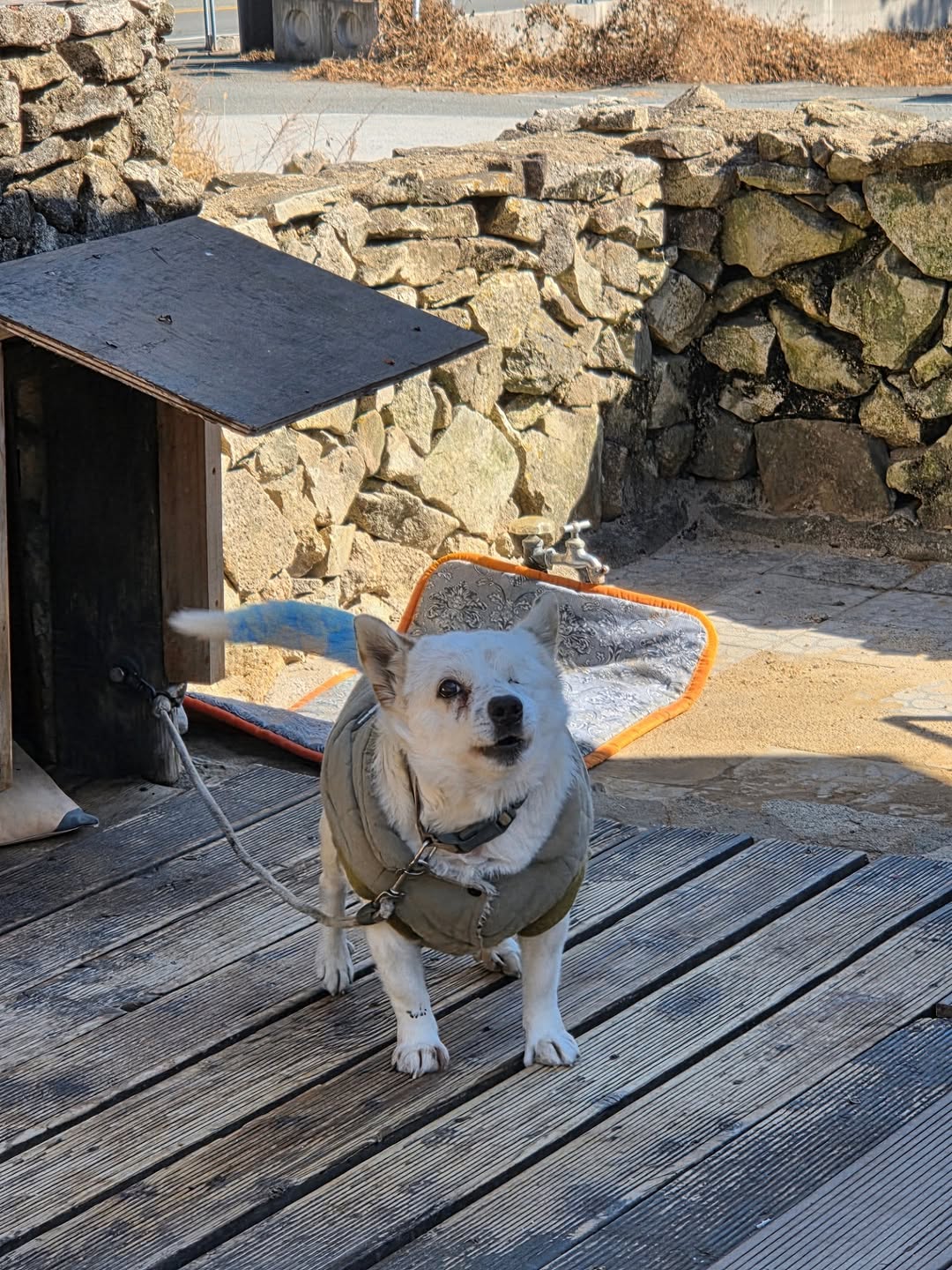해병대-비비탄-난사사건의-법적-조력자가-되어주기로-한-변호사-1-이미지