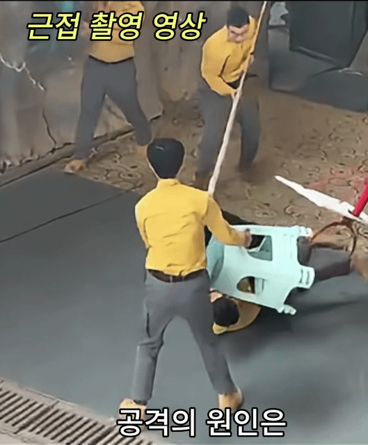 중국-항저우-동물원-흑곰-공연중-곰의-공격-9-이미지