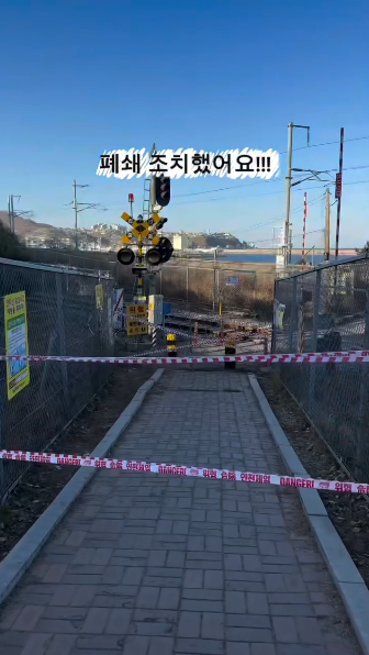 혼여하기-좋은-여행지로-추천받던-묵호-근황.gif-4-이미지