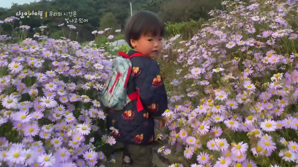 70이-다-되었는데-옆집-8살-아이가-자꾸-저희집에-찾아옵니다-39-이미지