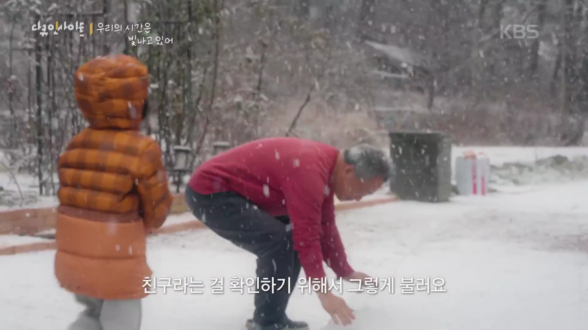 70이-다-되었는데-옆집-8살-아이가-자꾸-저희집에-찾아옵니다-22-이미지