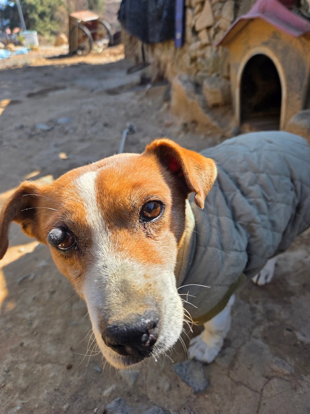해병대-비비탄-난사사건의-법적-조력자가-되어주기로-한-변호사-2-이미지