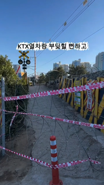 혼여하기-좋은-여행지로-추천받던-묵호-근황.gif-6-이미지