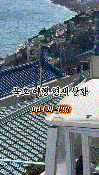 혼여하기-좋은-여행지로-추천받던-묵호-근황.gif-0-이미지