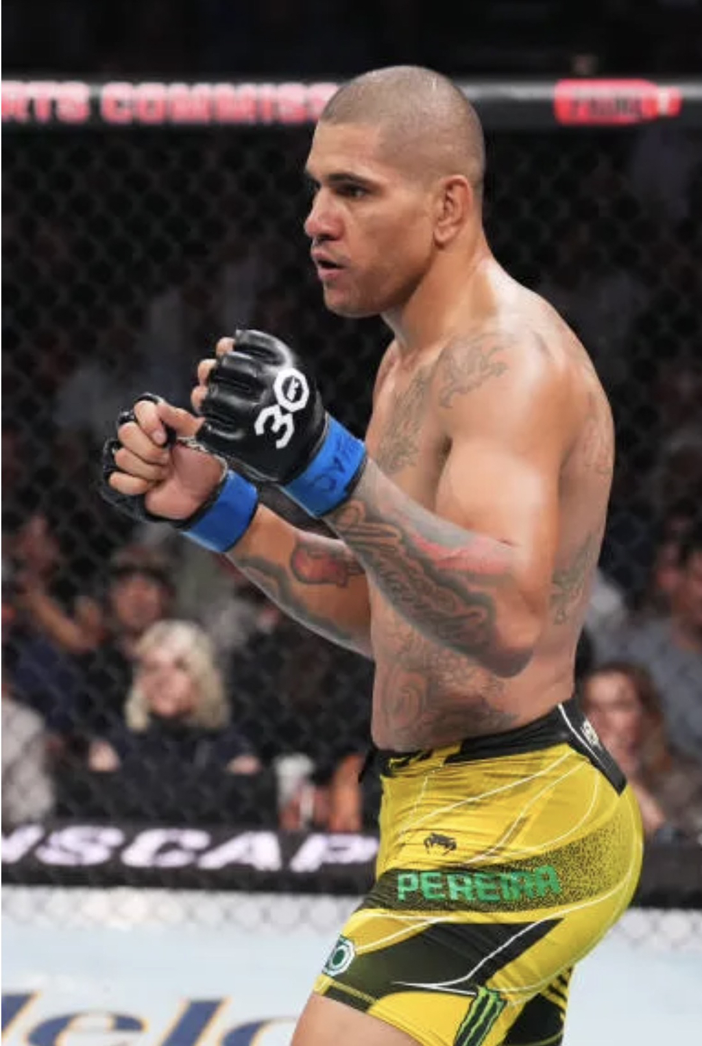 펀치력의-근원-2-이미지