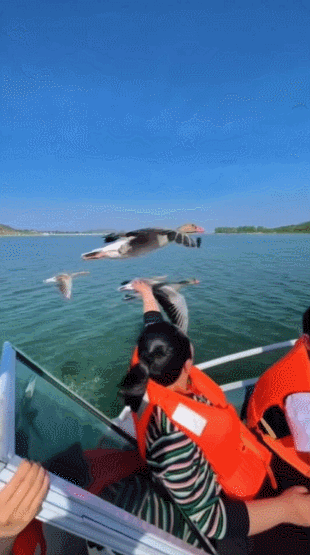 낚시-취미가-건전하다는-대만-여자와-결혼함-2-이미지